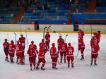 Hokejisté nestačili na celek Luleå Hockey a prohráli těsně 1:2