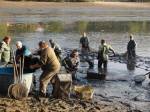 Lesníci budou pravidelně prodávat ryby ze sádek u Datlíku