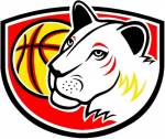 Basketbal ženy: Hradecké Lvice - BK Imos Brno