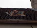 Pes se procházel po střeše, sousedé se báli o zdraví jeho majitelky