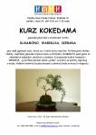 Kokedama