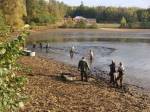 O víkendu začnou výlovy hradeckých rybníků, čerstvé ryby budou ihned ke koupi