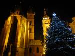 V Hradci už jsou vybrané tři hlavní vánoční stromy, věnovali je obyvatelé města