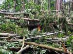 Město sečetlo škody z vichřice, padlo přes šedesát stromů