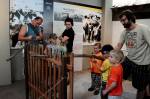Muzeum na Chlumu slaví osmdesátiny i rekordní sezonu