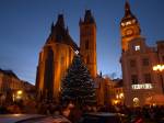 Vánoční stromy budou v Hradci stát už příští týden. Letos bude rozsvěcení slavnostní