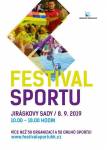 Festival sportu