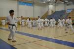 Hradecký světový šampionát v karate sklízí dodatečné úspěchy