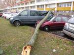 Bouře Sabine v Hradci velké škody nenapáchala. Spadlo 13 stromů