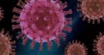 Koronavirus: Přes víkend pozitivně testovaných na COVID-19 v kraji přibylo