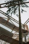 V Malšovicích vzniká další atrakce: 3D bludiště v korunách stromů s tobogánem