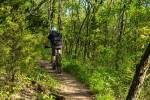 Oficiální terénní stezky pro cyklisty by měly hradecké lesy uchránit od ničení porostů a plašení zvěře