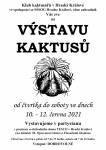 Zveme: Do uměleckých ateliérů, na putování s vodníkem a na výstavu kaktusů