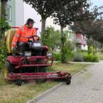 Tráva v Hradci bude vyšší, stroje ji posekají na výšku 8 centimetrů