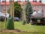 Stromy v Hradci pomáhají zalévat speciální vaky. Jejich počet se zvýší