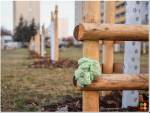 Nový ovocný sad ochrání pachový ohradník i městská vyhláška