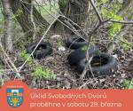 ZVEME: Jarní výstava, farmářské trhy, úklid, pohádky i fotbalový zápas