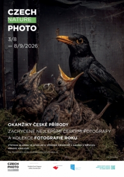 Czech Nature Photo